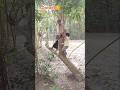 It was my Dream 🙂 Akh Lad Jaave Song #shorts #girl #girls #girlfriend #love #lovesongs #viralvideo