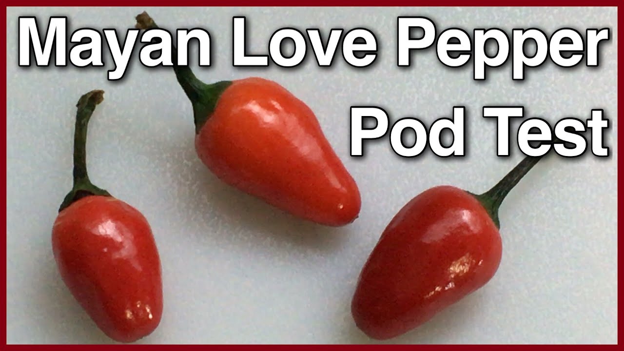 Pepper love