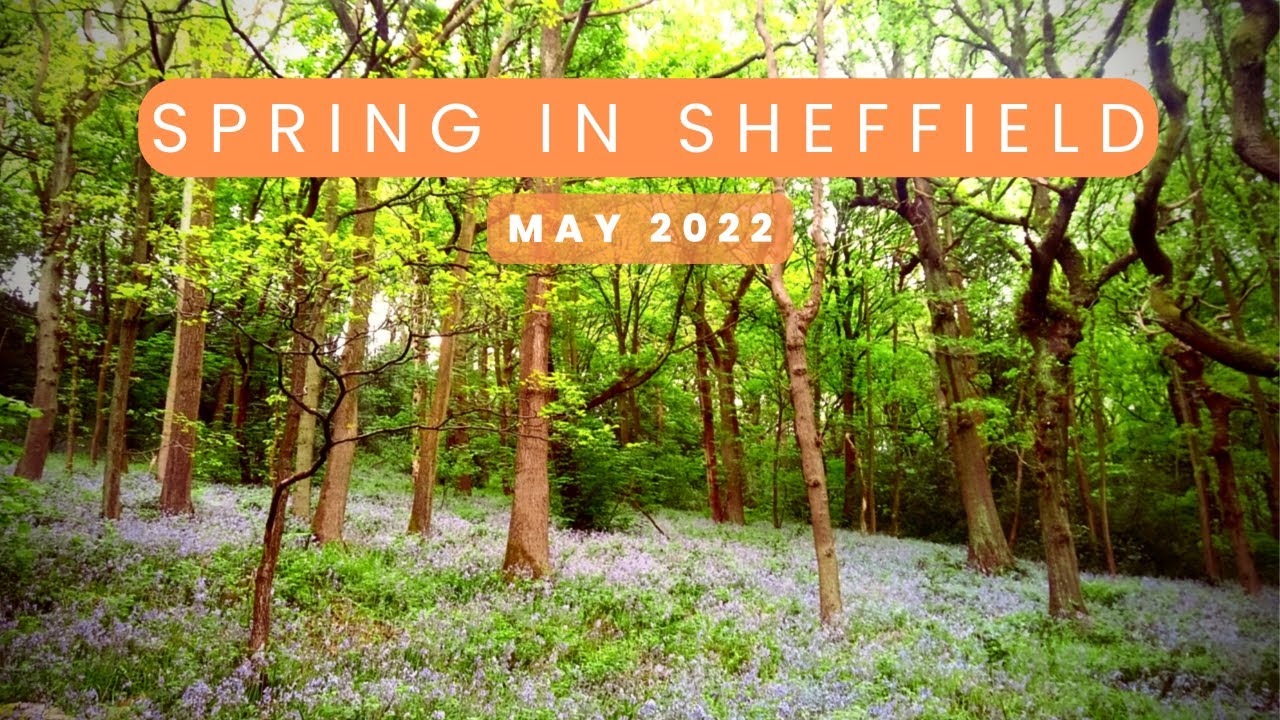 Spring in Sheffield  | May 2022 |  4K