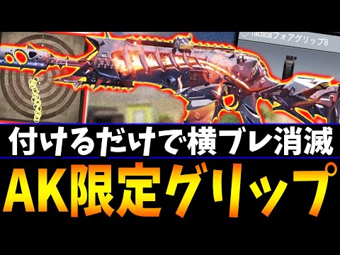 Even the pros are missing this: The 'secret AK117 attachment' completely erases horizontal recoil...