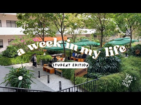 uni vlog ˚୨୧⋆｡campus life at UEH | một tuần vừa học vừa chơi ⋆.˚ ᡣ𐭩 .𖥔˚