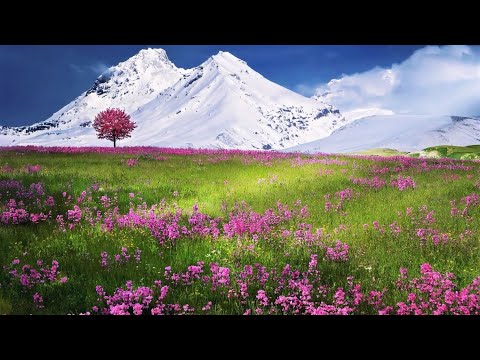  15 Inspirational Quotes  Relaxing Music Meditation Music Inner Peace  Ambient Music  4K