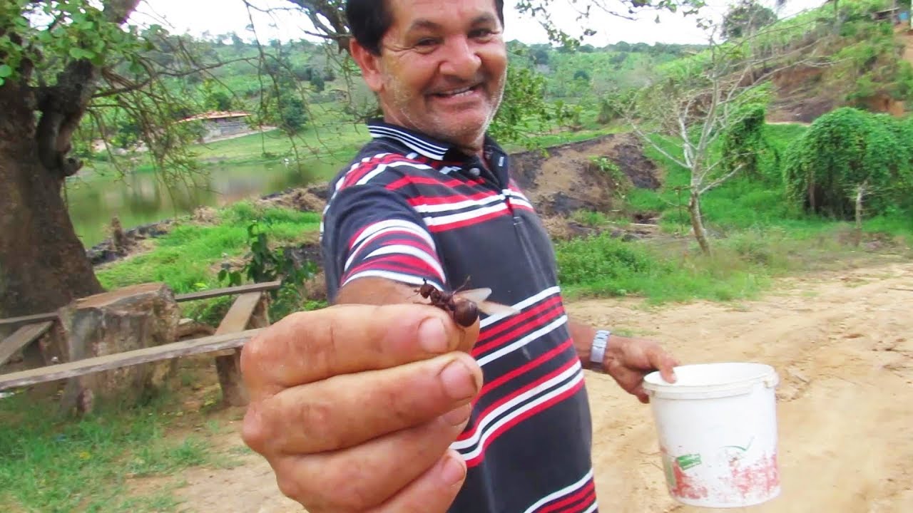 PEGANDO E ASSANDO TANAJURA 2019