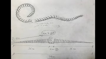 Neon Dance and Bristol Robotics Lab | Prehension Blooms | Watershed
