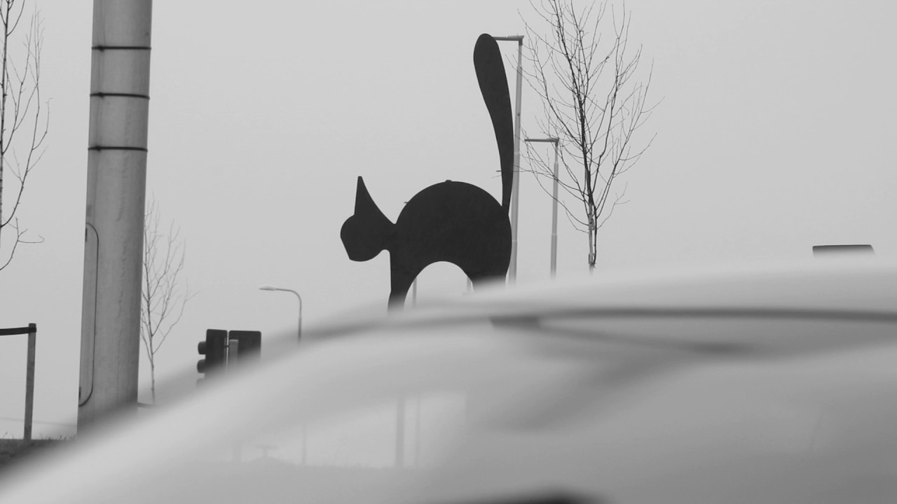 Traffic Report No. 6: Black Cat Roundabout