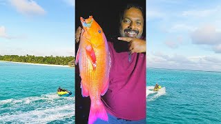 മാലിദീപിൽ ഒരു മീൻ പിടുത്തം | Fishing in Maldives #shorts