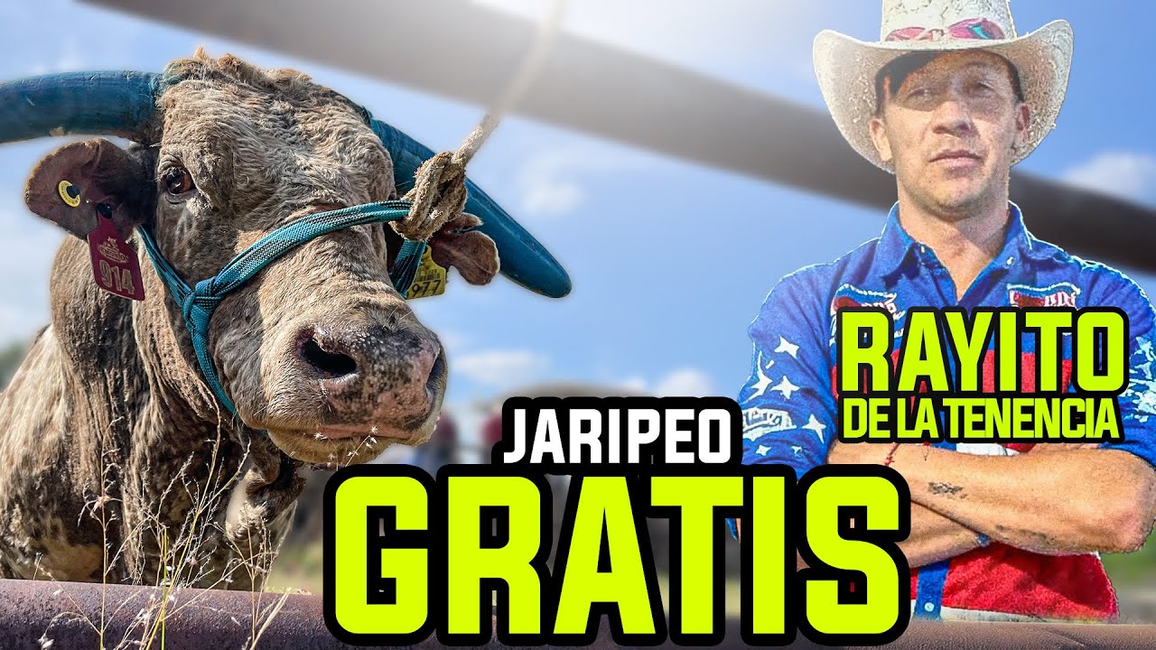 RAYITO TIENE RETO - JARIPEO TOTALMENTE GRATIS en Tupataro Guanajuato