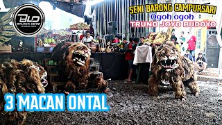 3MaCan NgontAl !! Asli Dari Truno joyo Budoyo Audio Balada dewa Jos Mantap