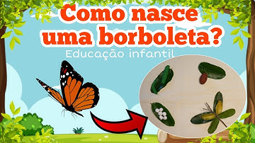 COMO NASCE UMA BORBOLETA? EDUCAÇÃO INFANTIL | Aula completa vídeo Educativo Atividade ciclo da vida.