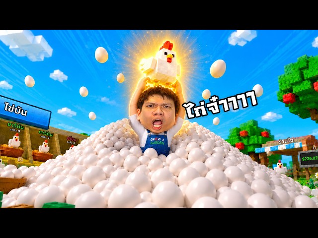 ไก่จ๋า ได้ยินไหมว่าเสียงใคร | Chicken Farm Roblox