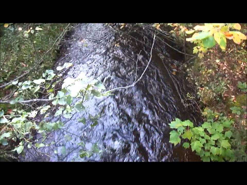 PEI Private Retreat With Trout Stream YouTube