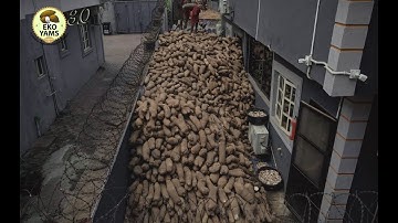 EKO YAMS 2.0 harvest - 3.0 Ads