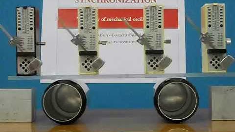 Physics experiment of Synchronization (Self sustained mechanical oscillator)