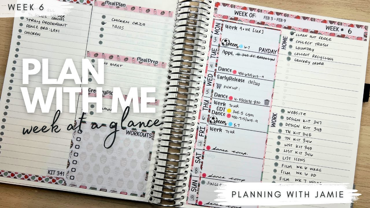WEEK AT A GLANCE PLAN WITH ME | ERIN CONDREN DAILY DUO | DAILY DUO PLAN ...
