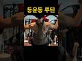 빠르게 보는 등운동 루틴