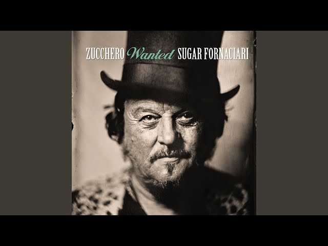 Zucchero - Love Is All Around