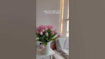إِنَّ الَّذِينَ قَالُوا رَبُّنَا اللَّهُ ثُمَّ اسْتَقَامُوا#قرآن# سوره الاحقاف-الايه 13.