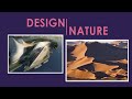 Design and Nature- Zaha Hadid Architects