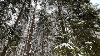 Ярославское взморье глазами ребенка. Коприно, парк-отели, развлечения.