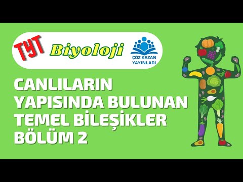 Video: Prokaryotlarda arttırıcılar ve susturucular var mı?