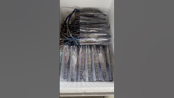 Cách đóng Tôm càng xanh Sống oxy khô đi khắp cách tỉnh thành Vẫn Sống. Liên hệ 0978.343.069 để biết