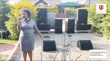 Pro 210 dual 10 inch line array sound system for indoor outdoor show.