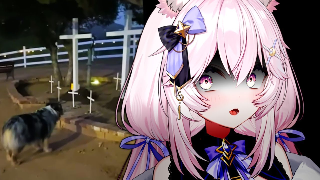 Nyanners Reacts to Spooky Videos #4