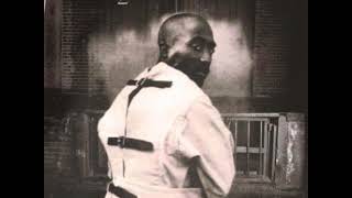 The 2Pac LP - 2pac The Life i Lead