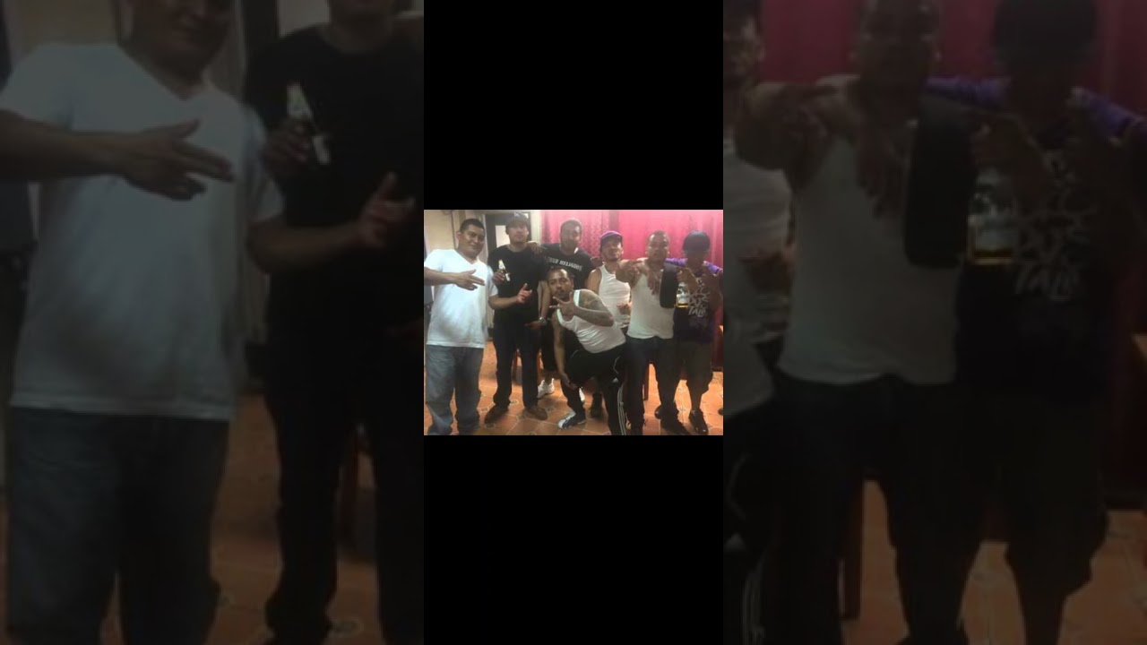 SONIDO TWIST RAZA LOCA VATOS LOCOS DEL BRONX CHAMACOS LOCOS DE LA 22 BRONX BROOKLYN NEWJERSEY BARRIO