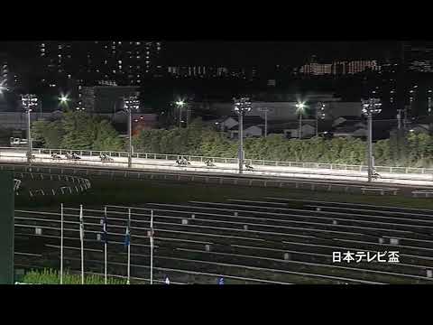 2021/9/29 船橋競馬11R 日本テレビ盃（G2）サルサディオーネ