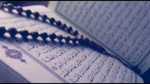 المصحف المرتل  ماجد الزامل  سورة آل عمران