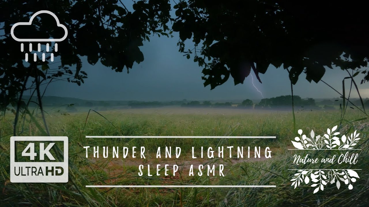 Heavy Rain, Rolling Thunder & Lightning ASMR: Relaxing Boars Hill Soundscapes