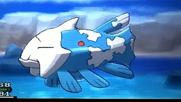 Pokemon X and Y - Shiny Relicanth [Via Chaining Method] + How to Chain Shinies While Fishing