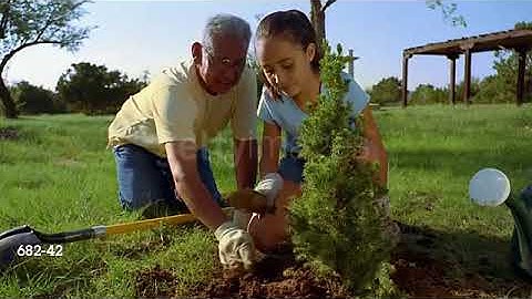 Randy’s Remade Music Videos - Amazing (by Hap Palmer)