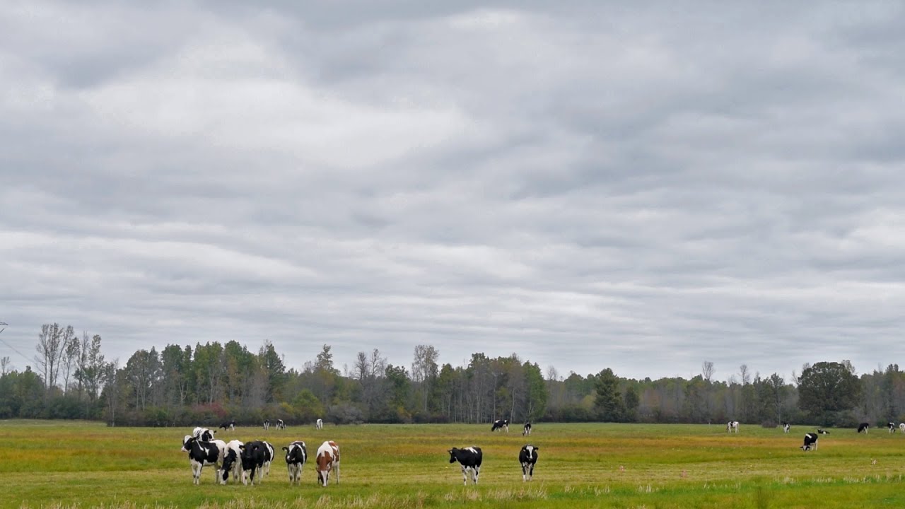 The North Country: NCPR's home