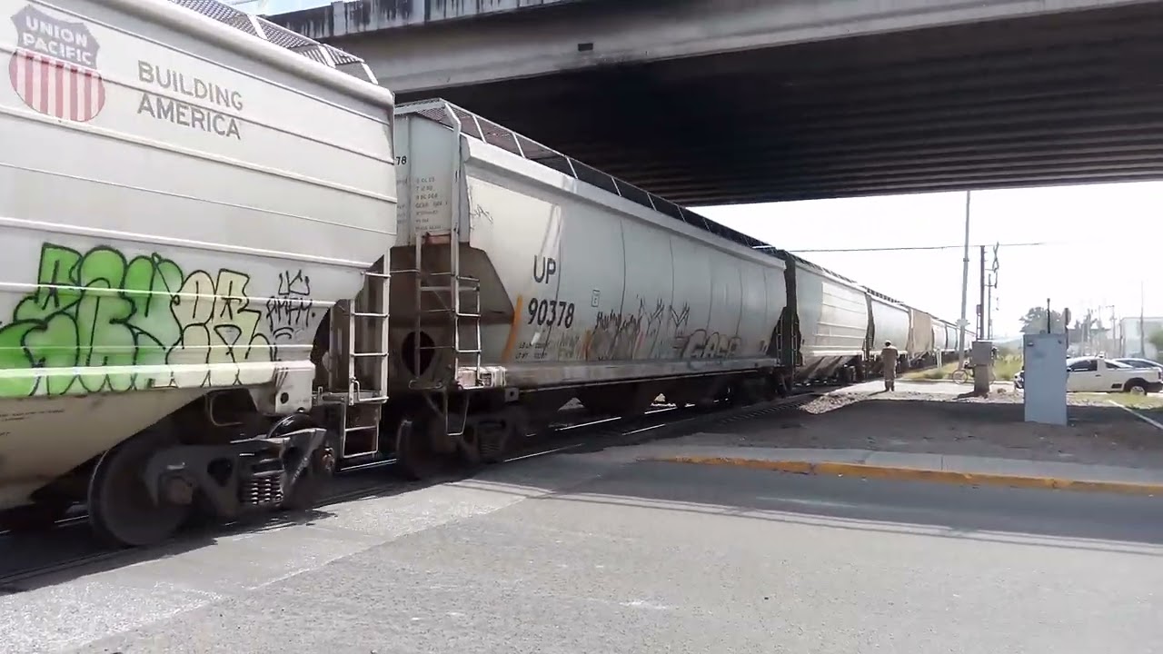 Sorprendente granelero con 3 🦓s Ferromex rumbo al Norte, entrando al escape.