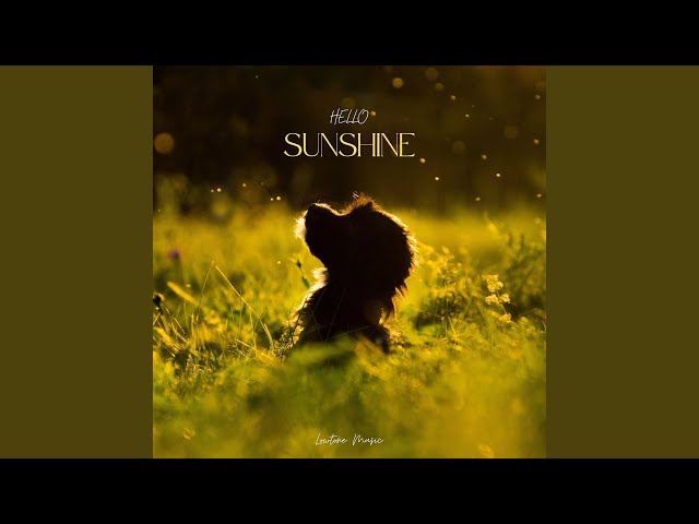 Hello Sunshine - YouTube