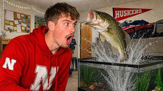 Moving My Pet Bass To College (Didn't Go As Planned)