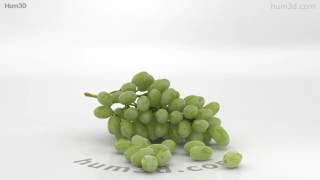 Green Grapes 3D model by 3DModels.org