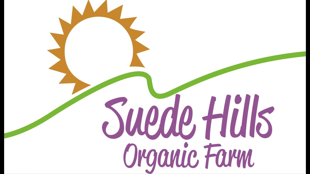 Green Leaf Stevia Powder vs White stevia.MOV