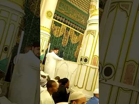 من قلب روضه الشريفه