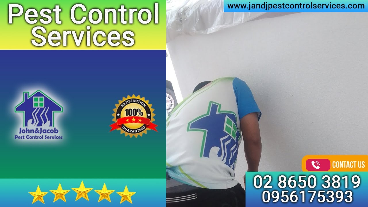 Pest Control Services Quezon City MM 🧬☎️ Call (02) 8650 3819 YouTube