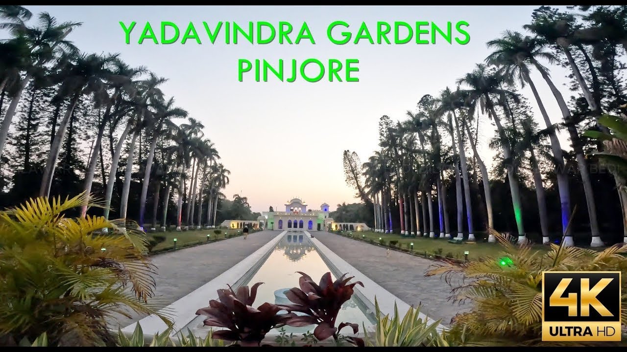 Сады Ядавиндры | Пинджоре Харьяна 🇮🇳 | 4K пешеходная экскурсия