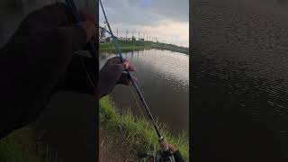 Lure cá lóc đồng, kéo 1 đường cá ăn luôn/DTFishing