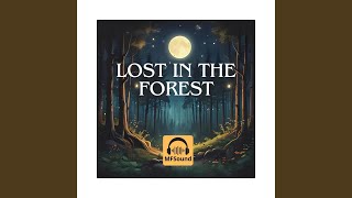 Lost In The Forest