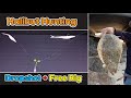 Halibut fishing setup Ep2  Dropshot + Free rig / good for slow days/easy, strong/ any time  광어낚시 채비