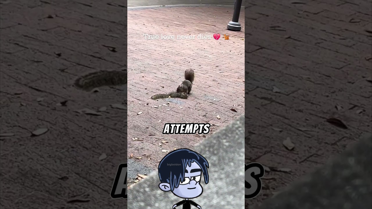 This Squirrel Rescued His Friend From A Cruel Bird 😱 