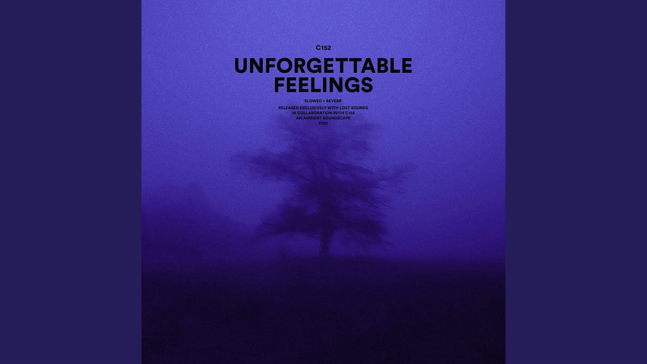 unforgettable feelings (slowed + reverb)