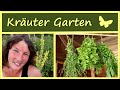Kräuter Anbau Trocknung Lagerung 🌿│ Kräutergarten