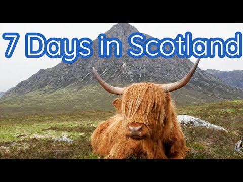7 Days in